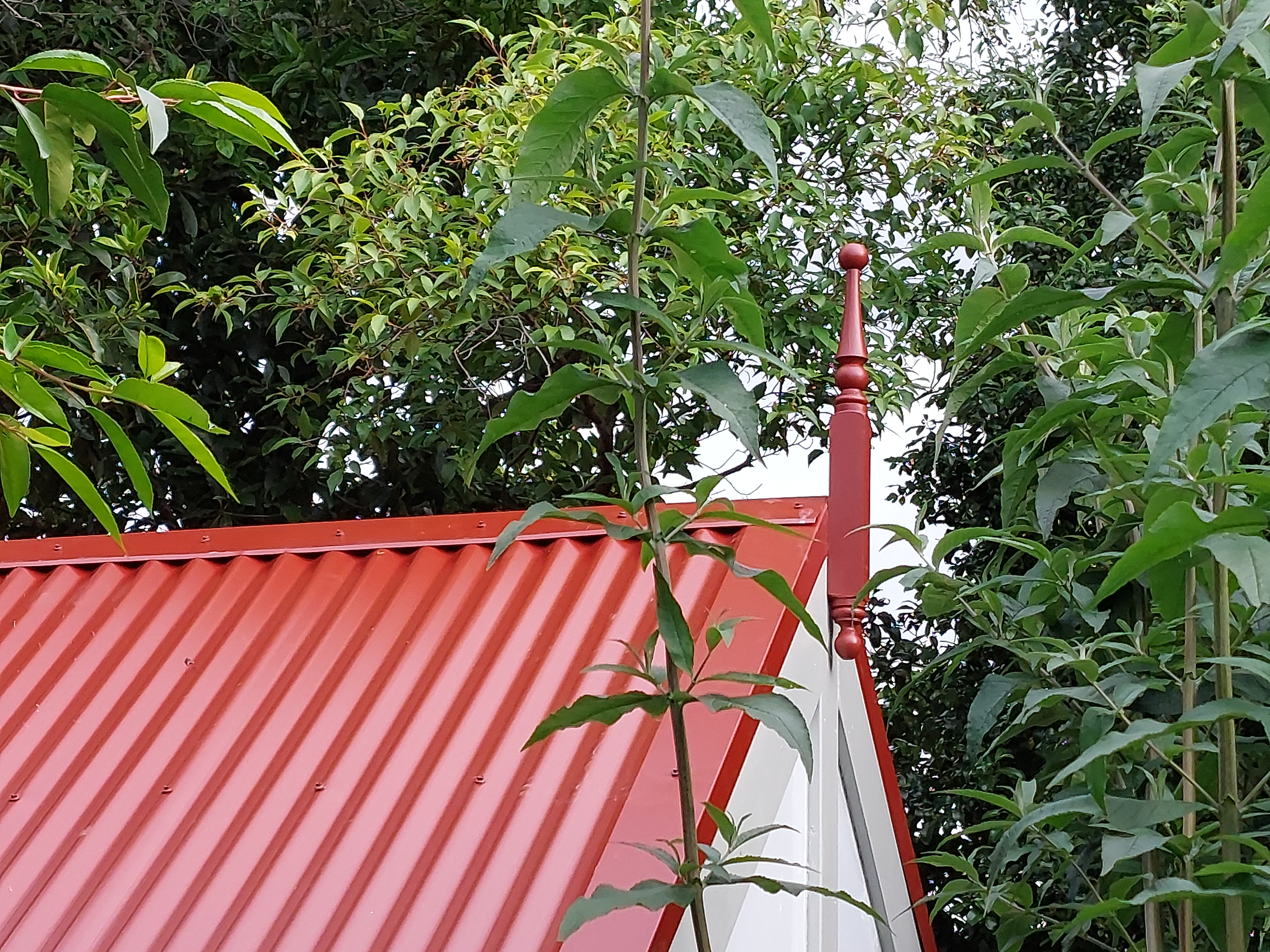 35degree gable and fineal